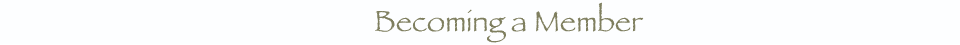 The Leadership Of The Santa Cruz Zen Center