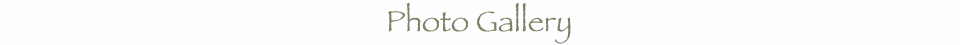 The Lineage Of The Santa Cruz Zen Center