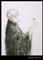 Zen and the Arts Dharma Expression