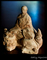 Zen and the Arts Dharma Expression